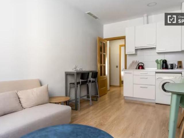 Alquiler 1 Dormitorio Apartamentos Madrid Madrid DLS98498282