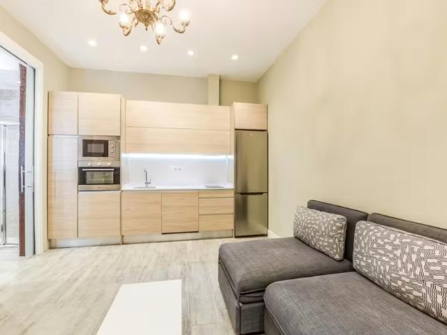 Alquiler 1 Dormitorio Apartamentos Madrid Madrid DLS98022772