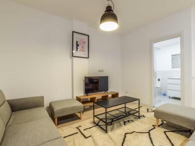 Alquiler 1 Dormitorio Apartamentos Madrid Madrid DLS98022776