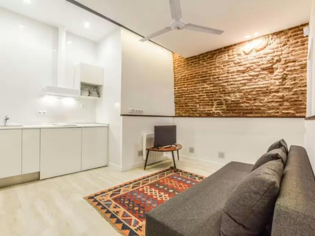 Alquiler 1 Dormitorio Apartamentos Madrid Madrid DLS98022816