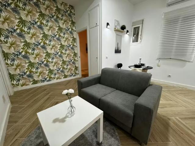 Alquiler 1 Dormitorio Apartamentos Madrid Madrid DLS98102065