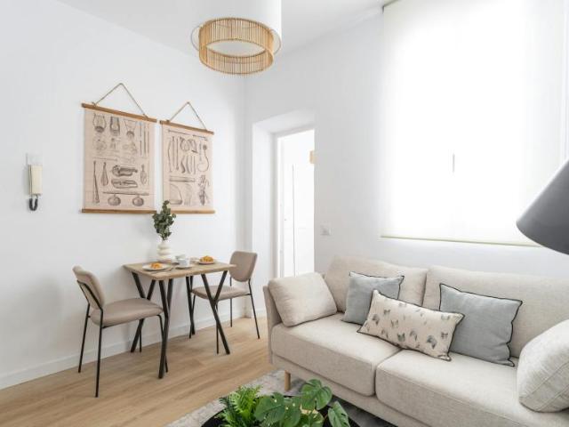Alquiler 1 Dormitorio Apartamentos Madrid Madrid DLS99687325