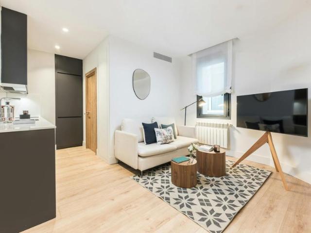 Alquiler 1 Dormitorio Apartamentos Madrid Madrid DLS99374481