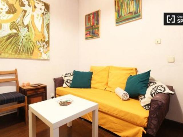 Alquiler 1 Dormitorio Apartamentos Madrid Madrid DS44522394