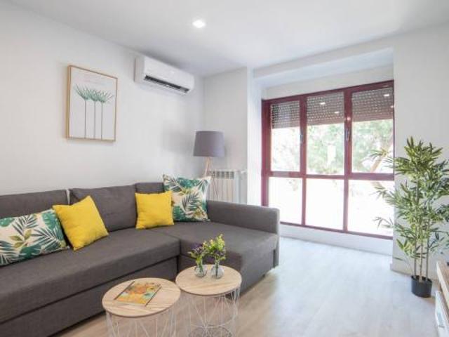 Alquiler 1 Dormitorio Apartamentos Madrid Madrid DS44824165