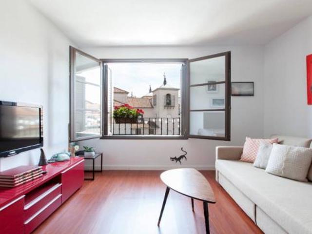 Alquiler 1 Dormitorio Apartamentos Madrid Madrid DS54234948