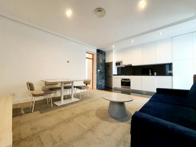 Alquiler 1 Dormitorio Apartamentos Madrid Madrid DS70564306