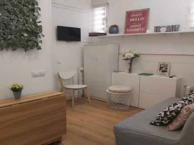 Alquiler 1 Dormitorio Apartamentos Madrid Madrid DS72743065