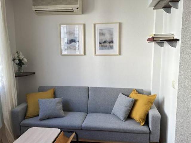 Alquiler 1 Dormitorio Apartamentos Madrid Madrid DS74029814