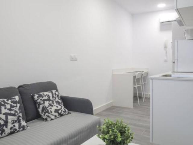 Alquiler 1 Dormitorio Apartamentos Madrid Madrid DS76039702