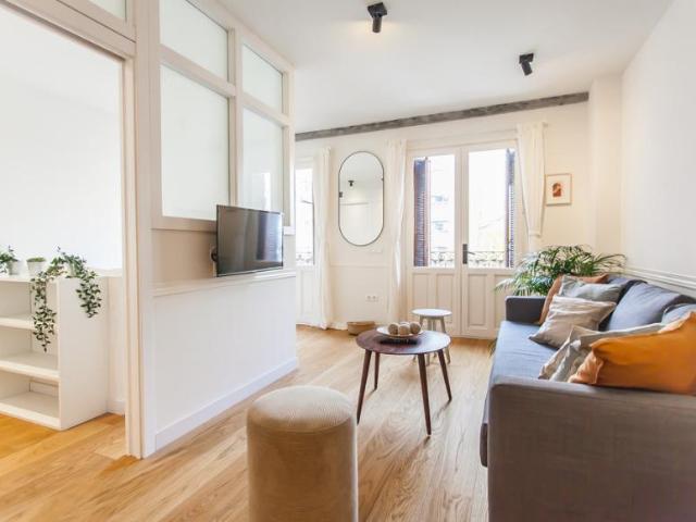 Alquiler 1 Dormitorio Apartamentos Madrid Madrid DS77947714