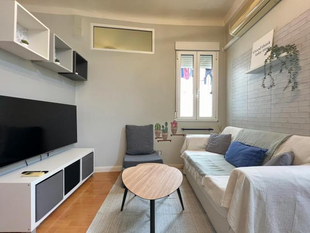 Alquiler 1 Dormitorio Apartamentos Madrid Madrid DS77994049