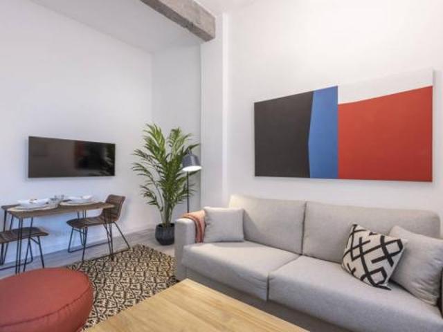 Alquiler 1 Dormitorio Apartamentos Madrid Madrid DS87492690
