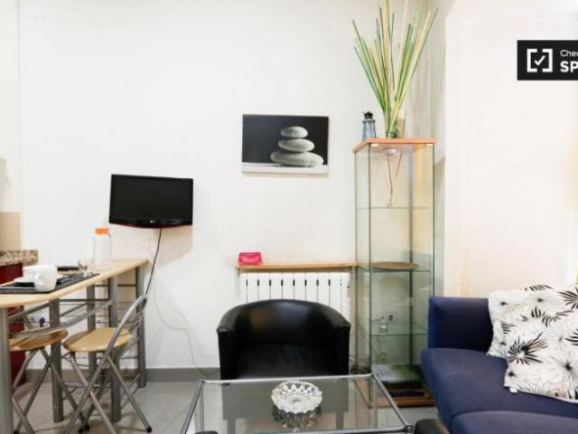 Alquiler 1 Dormitorio Apartamentos Madrid Madrid DS90668625