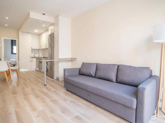 Alquiler 1 Dormitorio Apartamentos Madrid Madrid DS90930160