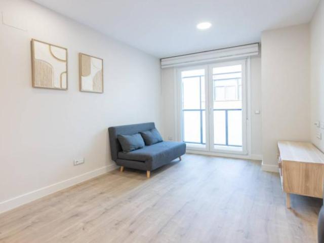 Alquiler 1 Dormitorio Apartamentos Madrid Madrid DS91660028