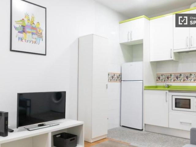 Alquiler 1 Dormitorio Apartamentos Madrid Madrid DS92240215