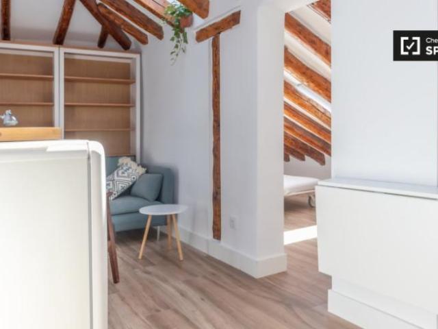 Alquiler 1 Dormitorio Apartamentos Madrid Madrid DS92240396