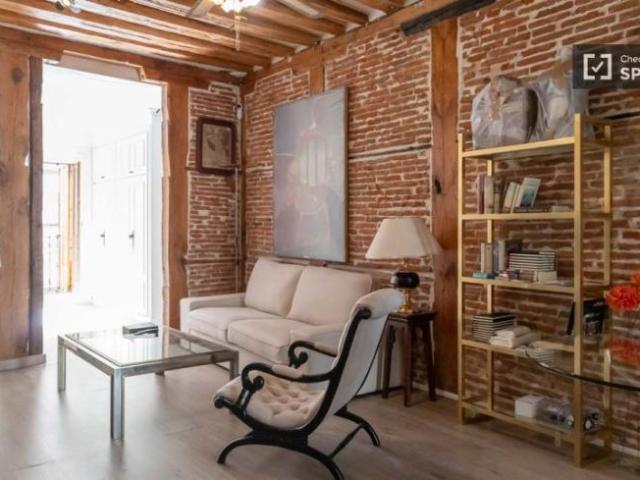 Alquiler 1 Dormitorio Apartamentos Madrid Madrid DS93359239