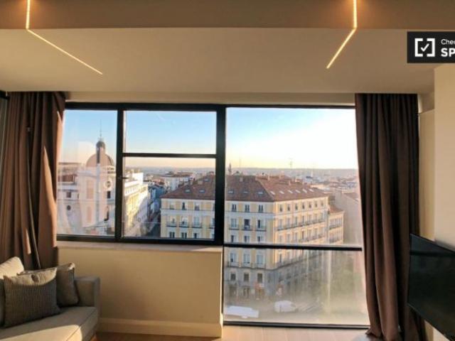 Alquiler 1 Dormitorio Apartamentos Madrid Madrid DS93485848