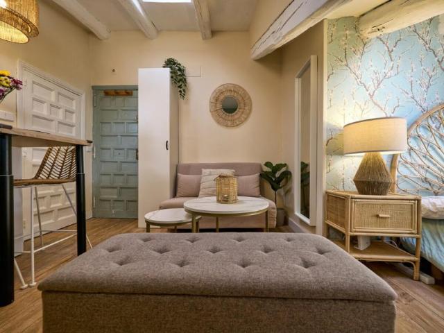 Alquiler 1 Dormitorio Apartamentos Madrid Madrid DS93560162