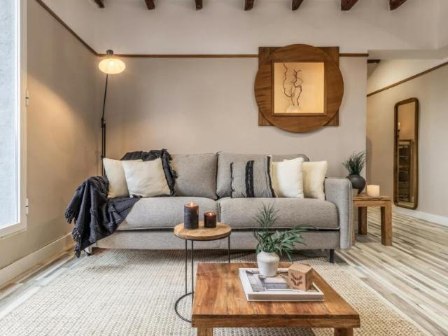 Alquiler 1 Dormitorio Apartamentos Madrid Madrid DS94043022