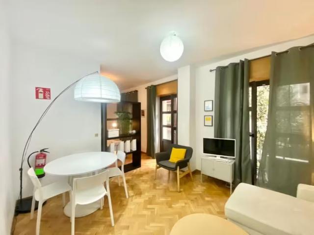 Alquiler 1 Dormitorio Apartamentos Madrid Madrid DS95904037