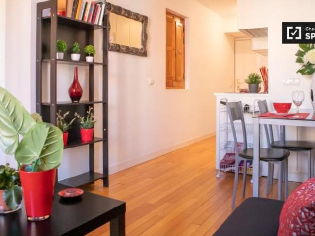 Alquiler 1 Dormitorio Apartamentos Madrid Madrid DS96498443