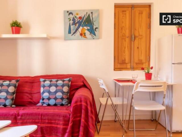 Alquiler 1 Dormitorio Apartamentos Madrid Madrid DS96498786