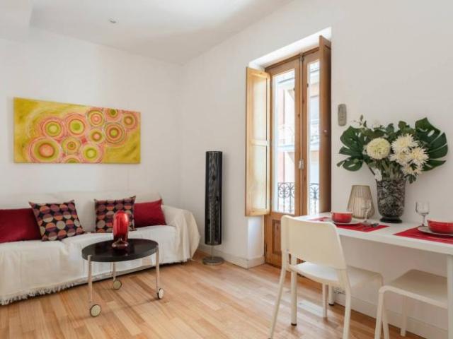 Alquiler 1 Dormitorio Apartamentos Madrid Madrid DS96848924