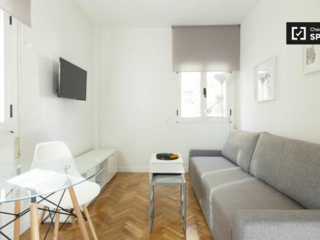 Alquiler 1 Dormitorio Apartamentos Madrid Madrid DS97132842