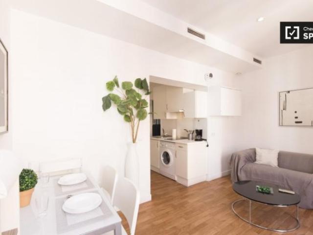 Alquiler 1 Dormitorio Apartamentos Madrid Madrid DS97132825