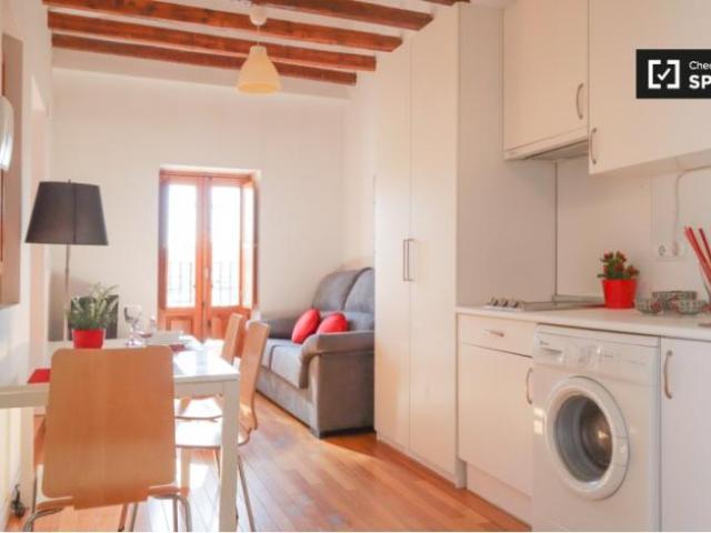Alquiler 1 Dormitorio Apartamentos Madrid Madrid DS97132901