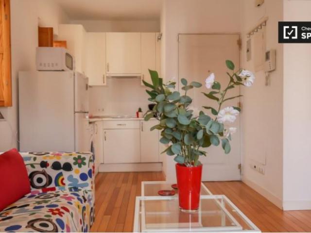 Alquiler 1 Dormitorio Apartamentos Madrid Madrid DS97133113