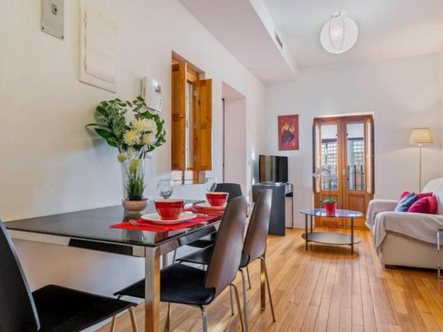Alquiler 1 Dormitorio Apartamentos Madrid Madrid DS97133304