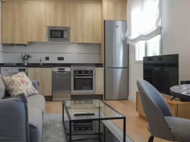 Alquiler 1 Dormitorio Apartamentos Madrid Madrid DS97882757