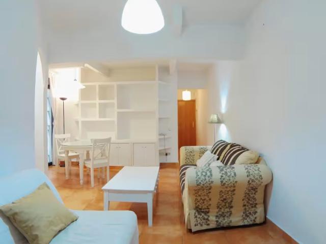 Alquiler 1 Dormitorio Apartamentos Madrid Madrid DS98144240