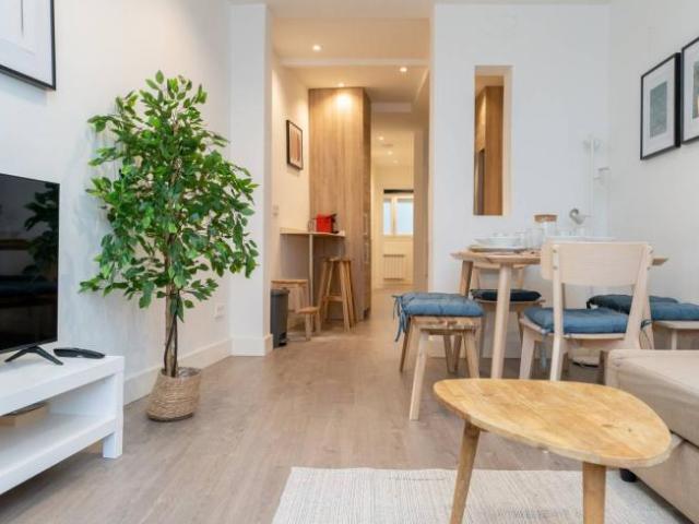 Alquiler 1 Dormitorio Apartamentos Madrid Madrid DS98343713