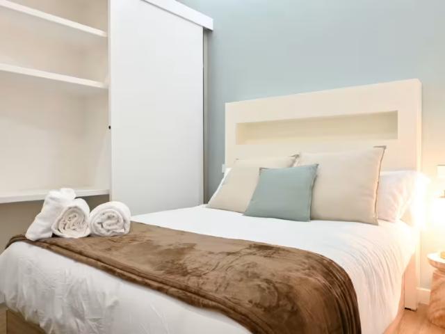 Alquiler 1 Dormitorio Apartamentos Madrid Madrid DS98496498
