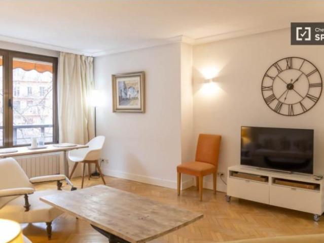 Alquiler 1 Dormitorio Apartamentos Madrid Madrid DS99229372