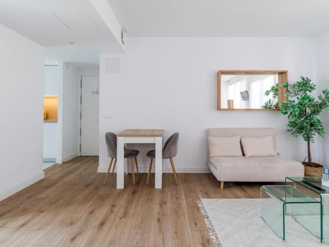 Alquiler 1 Dormitorio Apartamentos Madrid Madrid DS99385486