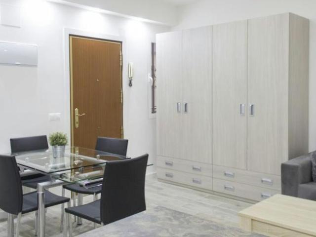 Alquiler 1 Dormitorio Apartamentos Madrid Madrid DS99691017