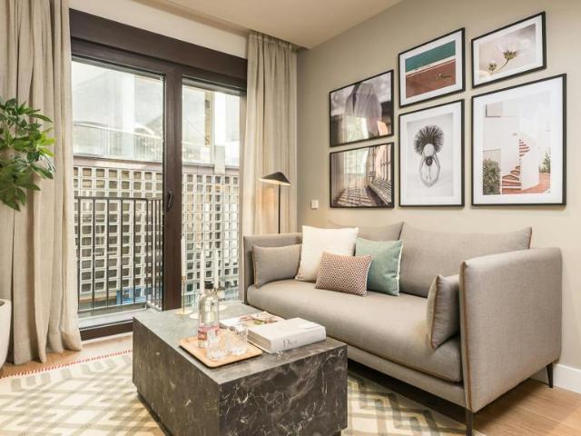 Alquiler 1 Dormitorio Apartamentos Madrid Madrid DS99882791