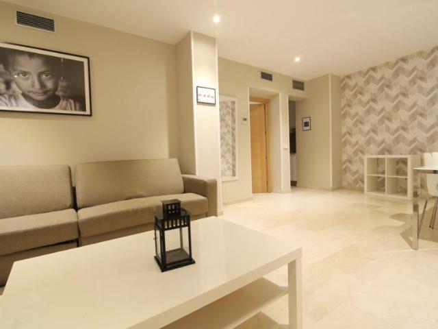 Alquiler 1 Dormitorio Apartamentos Madrid Madrid DS100423252