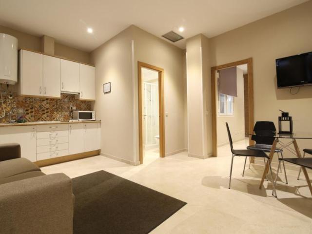 Alquiler 1 Dormitorio Apartamentos Madrid Madrid DS100423265