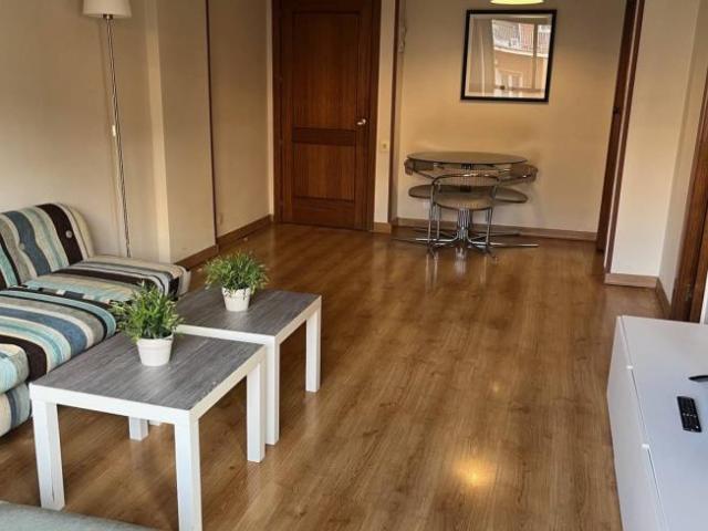 Alquiler 1 Dormitorio Apartamentos Madrid Madrid DS100532780