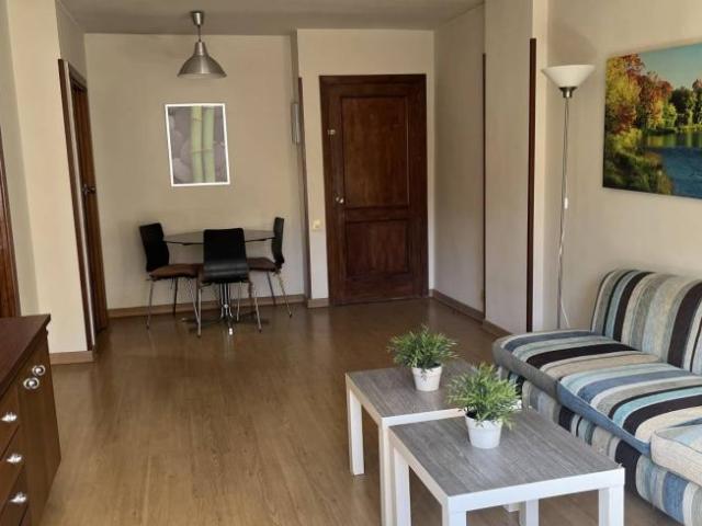Alquiler 1 Dormitorio Apartamentos Madrid Madrid DS100532783