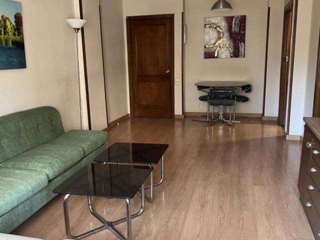 Alquiler 1 Dormitorio Apartamentos Madrid Madrid DS100532786
