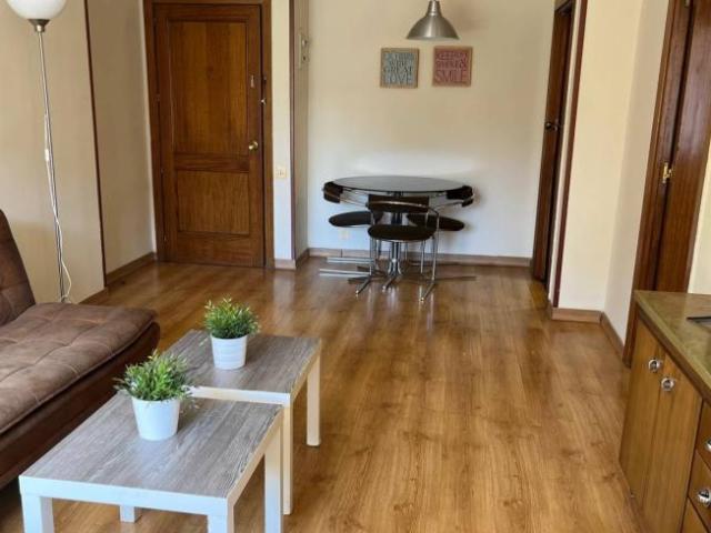 Alquiler 1 Dormitorio Apartamentos Madrid Madrid DS100532789