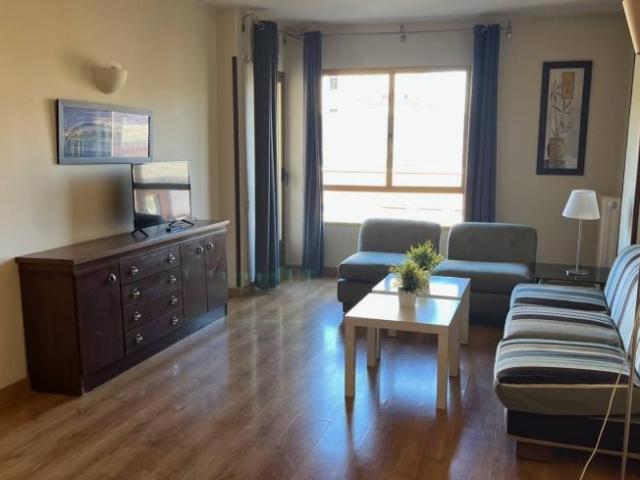 Alquiler 1 Dormitorio Apartamentos Madrid Madrid DS100532798